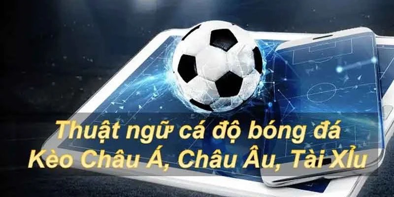 Bật Mí Các Thuật Ngữ Cá Độ Thể Thao Bet Thủ Nên Biết Một số thuật ngữ chỉ kèo đá banh nổi bật nhất