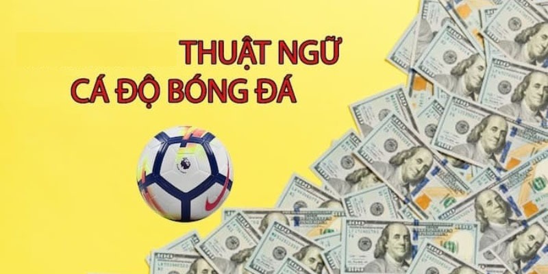 Bật Mí Các Thuật Ngữ Cá Độ Thể Thao Bet Thủ Nên Biết Cụm từ thể hiện tỷ lệ kèo phụ ấn tượng
