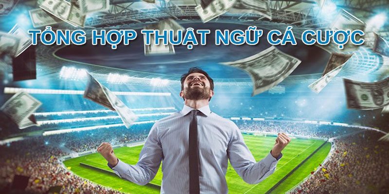 Bật Mí Các Thuật Ngữ Cá Độ Thể Thao Bet Thủ Nên Biết Thuật ngữ cá độ thể thao cơ bản, quen thuộc nhất