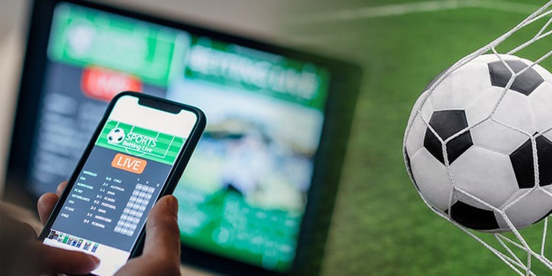 Bật Mí Các Thuật Ngữ Cá Độ Thể Thao Bet Thủ Nên Biết Giải đáp thuật ngữ cơ bản trong cá độ trực tuyến