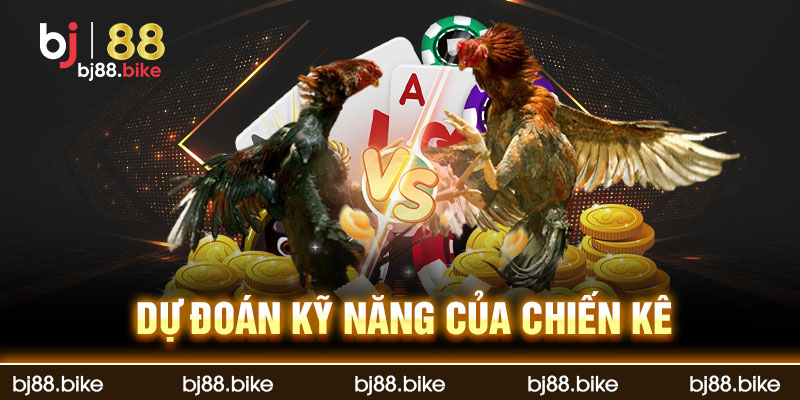 Sảnh SV388 - Sảnh Cá Cược Đá Gà Hấp Dẫn Tại bj88 Kinh nghiệm khi chọn kèo đá gà tại sảnh SV888 của thương hiệu bj88
