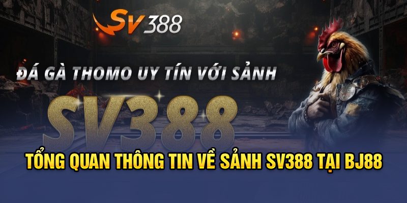Tổng quan thông tin về sảnh SV388