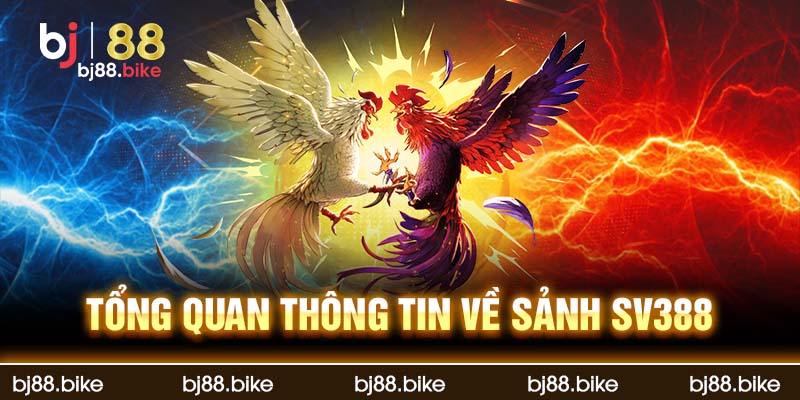 Sảnh SV388 - Sảnh Cá Cược Đá Gà Hấp Dẫn Tại bj88 Giới thiệu thông tin sảnh SV388 của bj88